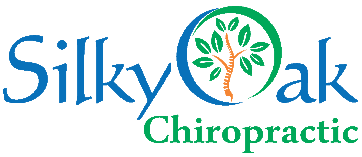 Silky Oak Chiropractic Logo
